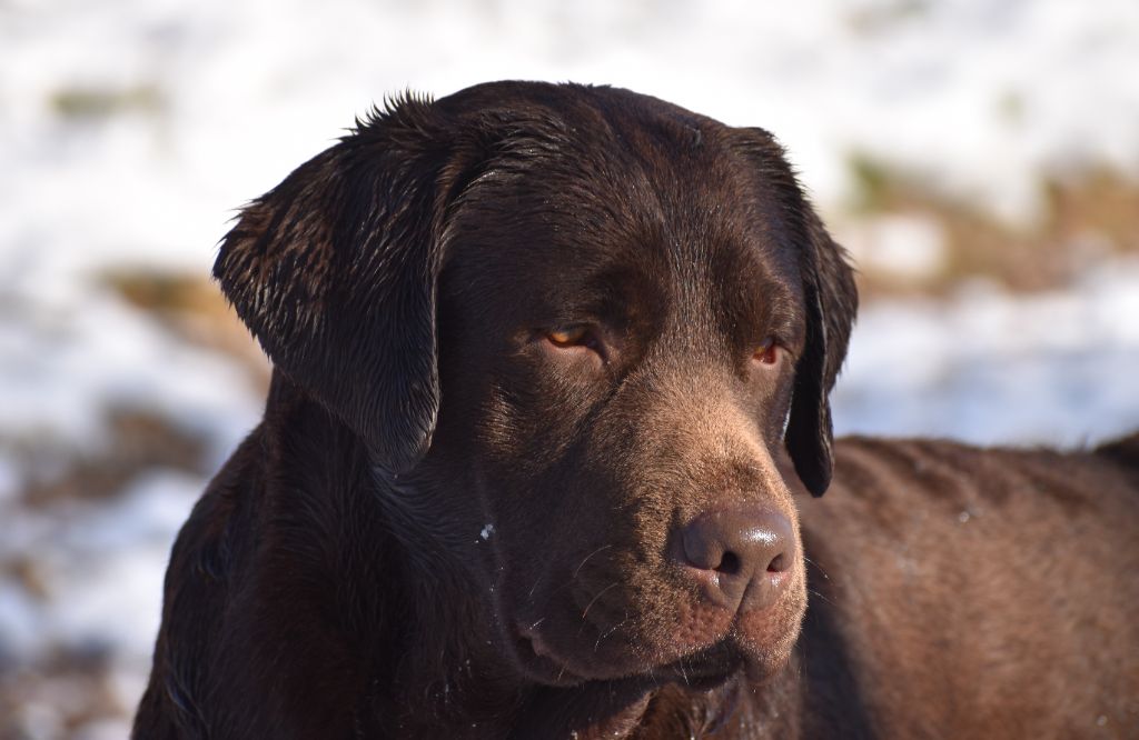 lumiere de vie Jules verne dit lulu